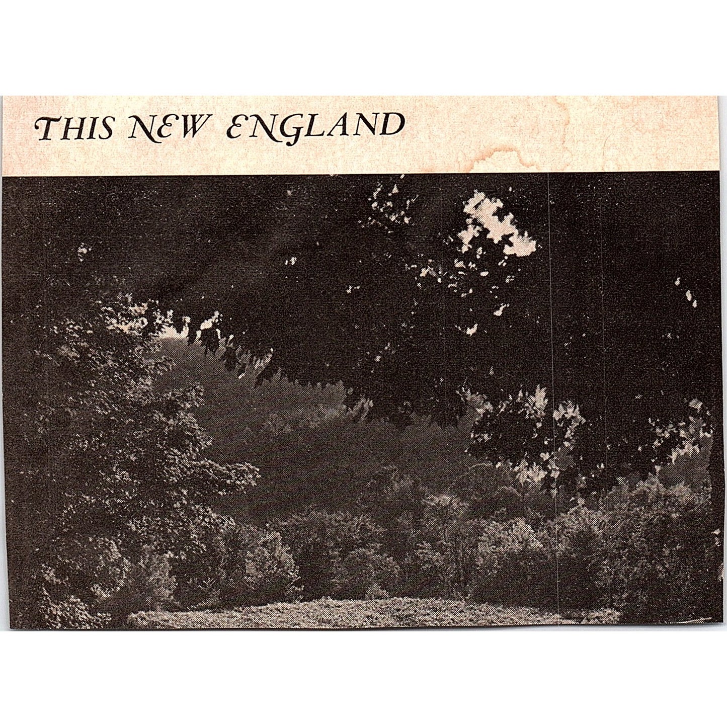 Hartness House Kingsley Smith Springfield VT 1971 Magazine Ad AG4-3