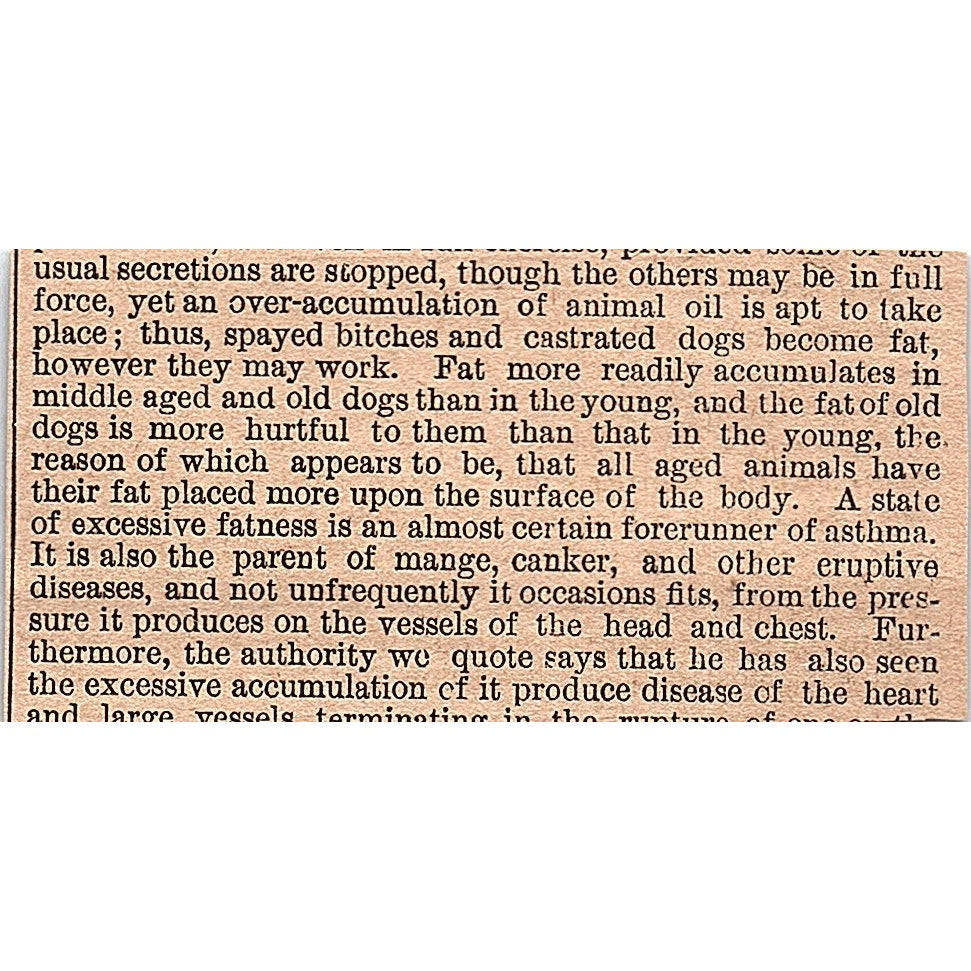 Sour Milk for Worms in Dogs 1878 Article AG2-M8