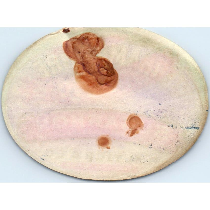 Vintage Verhampshire Brand Sugarhon Sugar Honey Label C.M. Tice & Co Boston AF1