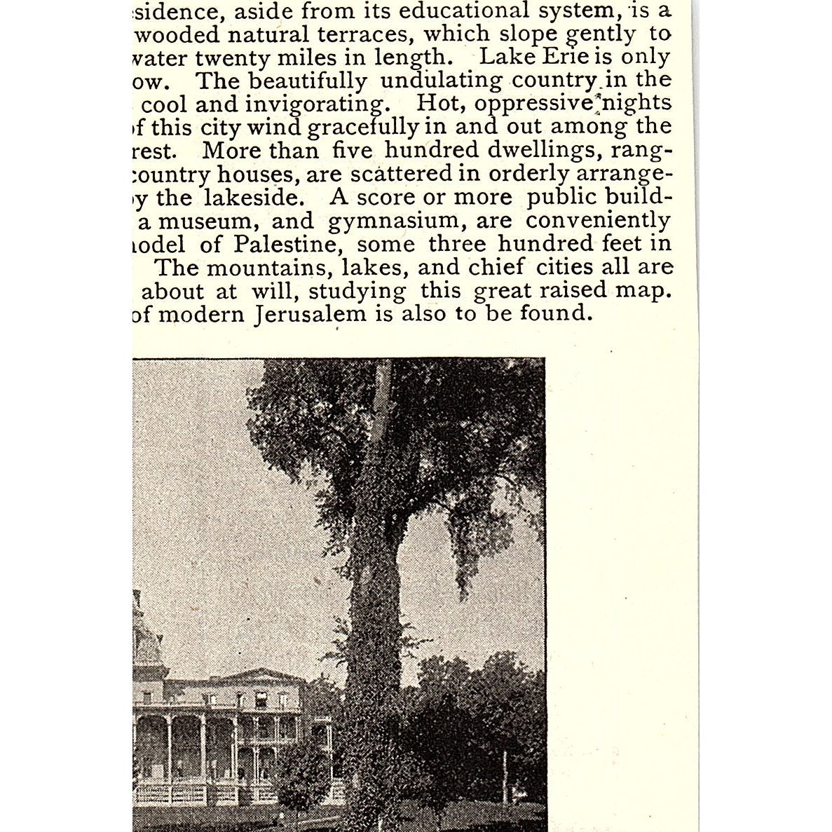 Van Houten's Cocoa - Van Houten & Zoon Weesp Holland 1892 Ad AG2-M11