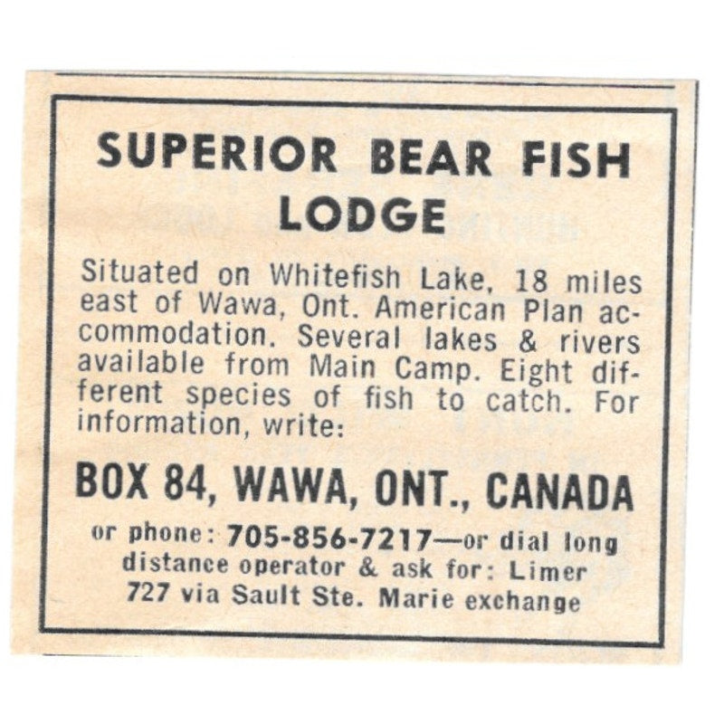 Superior Bear Fish Lodge Wawa Ontario Canada 1977 Ad AF6-S1
