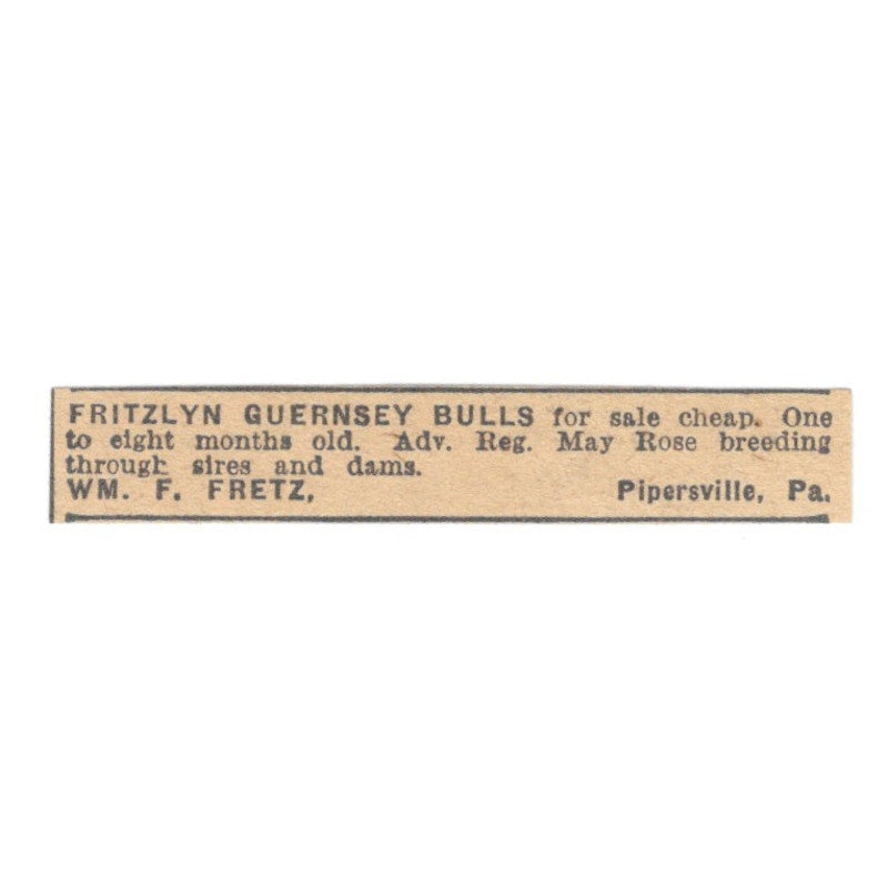 William F. Fretz Fritzlyn Guernsey Bulls Pipersville PA 1922 Magazine Ad AF2-T2