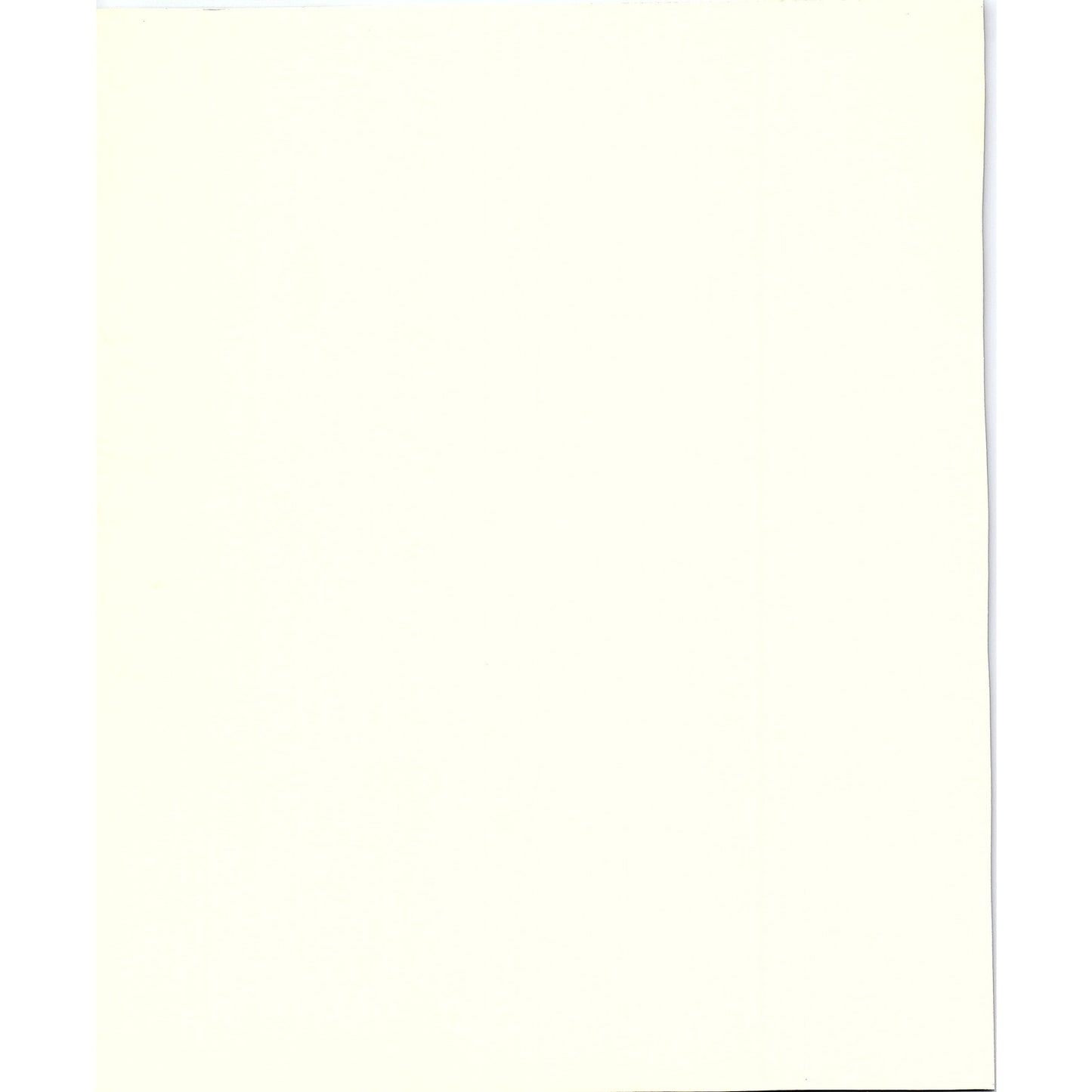 Vintage Portrait of Madame Renoir Lithograph Art Print 8x10 V4