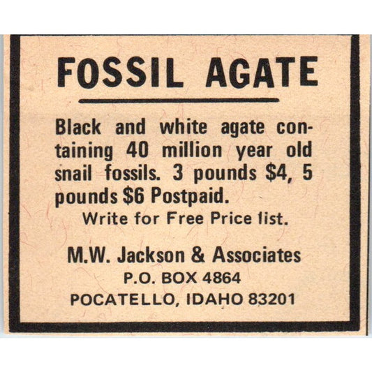 M.W. Jackson & Associates Fossil Agate Pocatello ID 1971 Magazine Ad AD8-R9