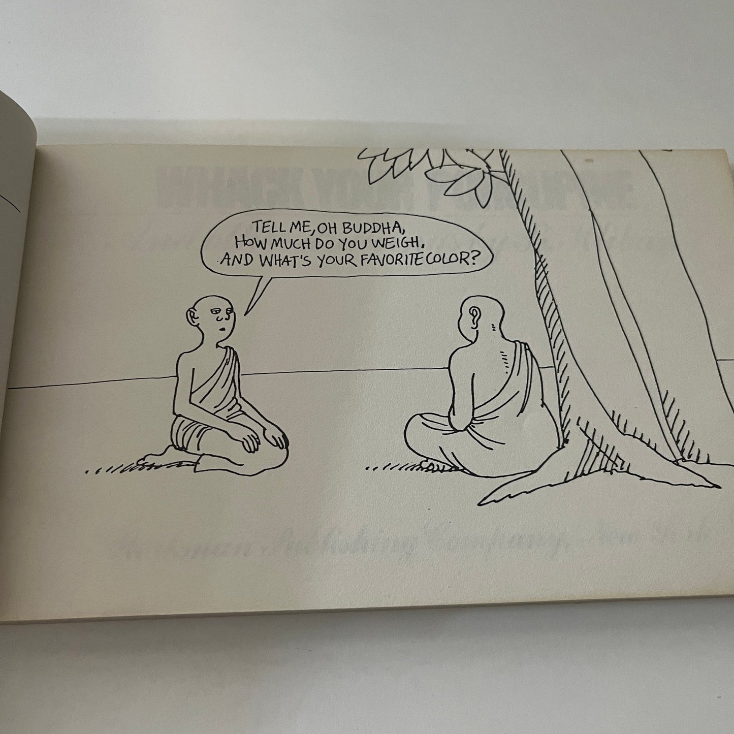 Whack Your Porcupine & Other Drawings Book - B. Kliban - 1977 TK3