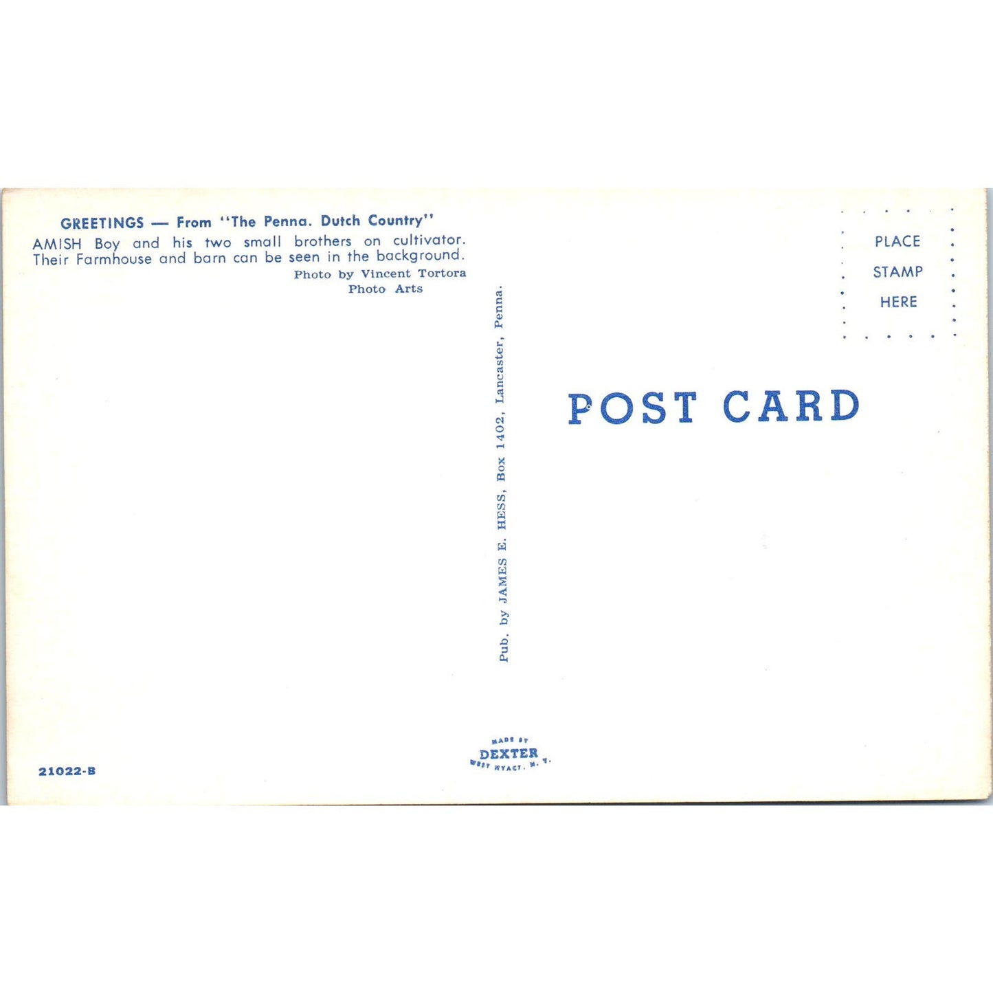 Amish Boys Farming With Cultivator PA Dutch Vintage Postcard PD4