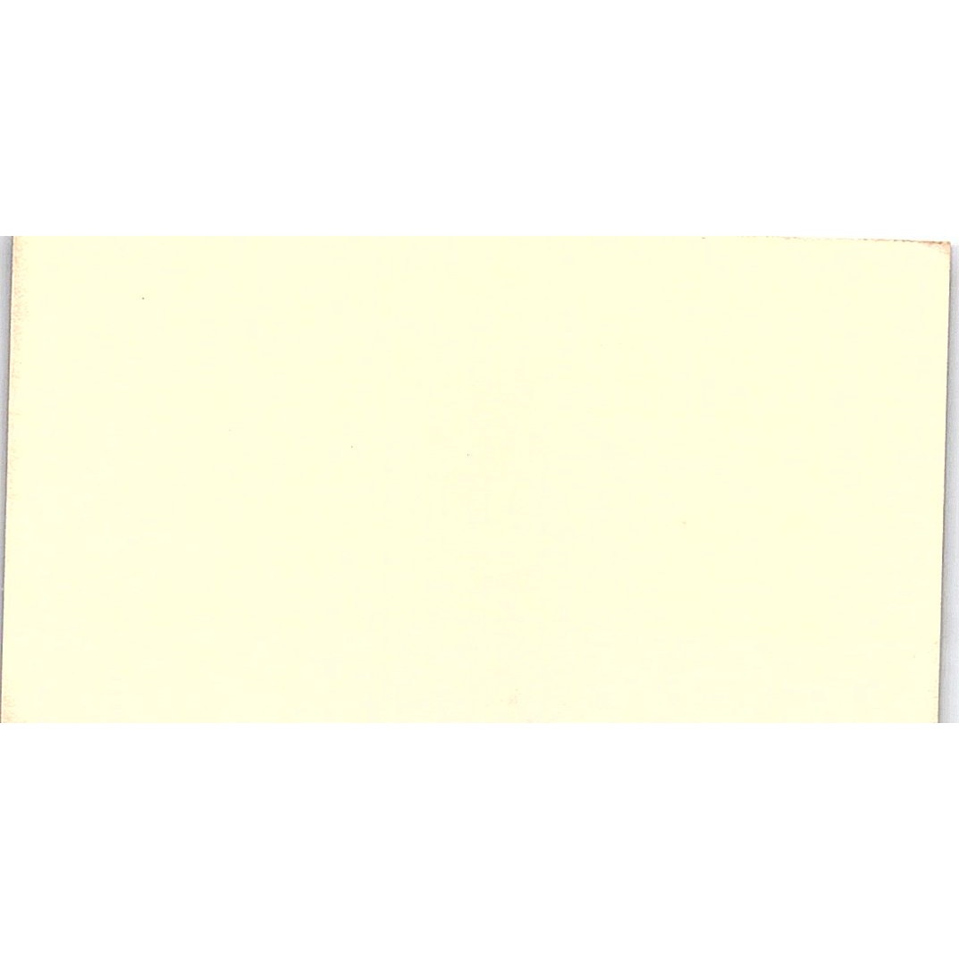 Accent Artificial Plants Bernard pat patence Long Beach CA Business Card SF3-B8