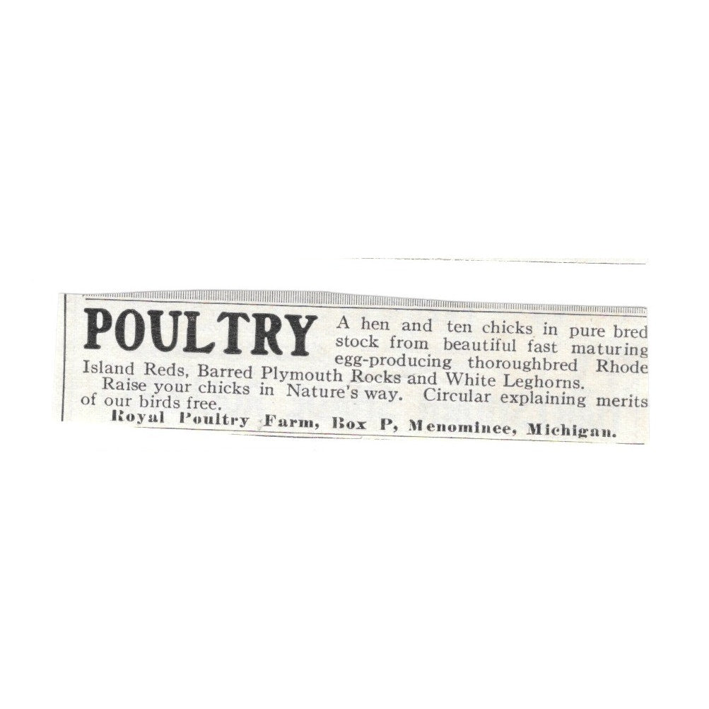 Royal Poultry Farm Menominee MI c1920 Ad Harper's Magazine AG4-S6