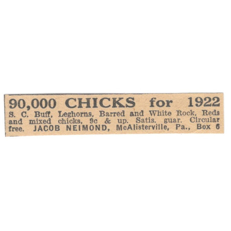 Jacob Neimond Chicks McAlisterville PA 1922 Magazine Ad AF2-T3