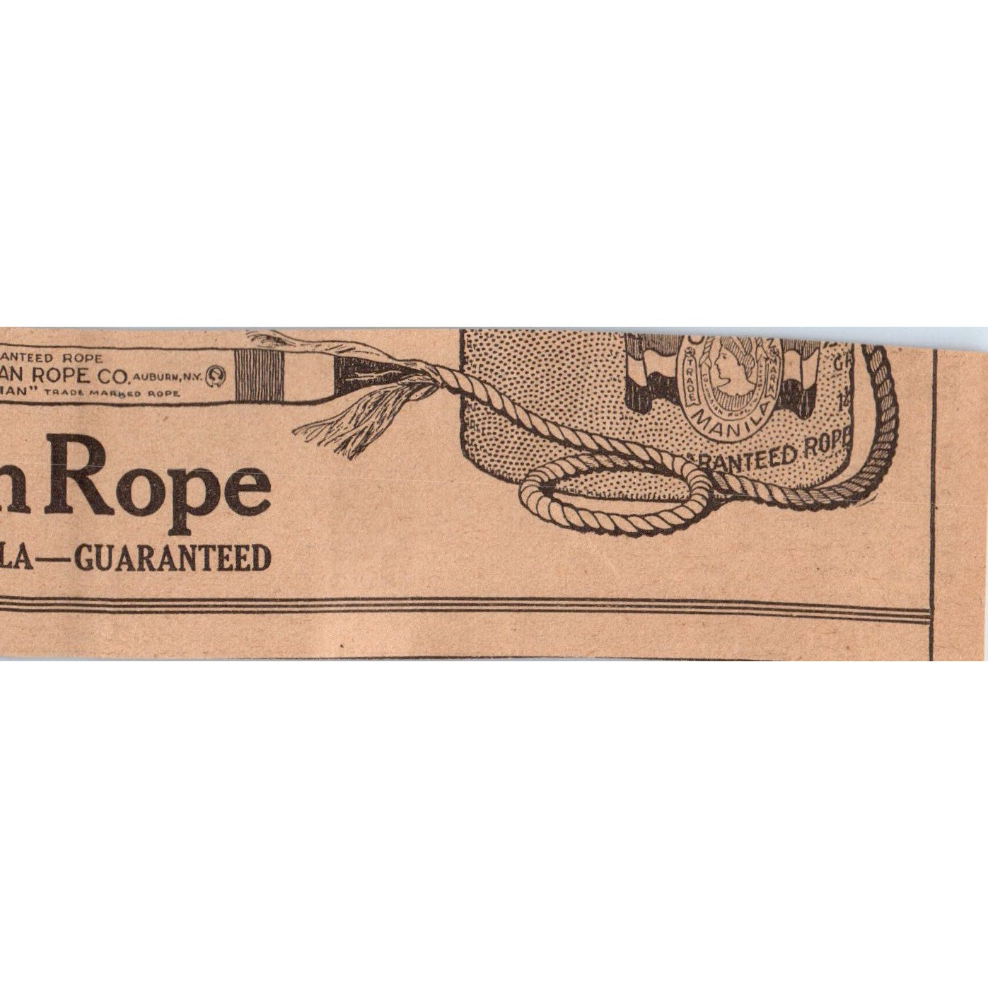 Wolf Hatching & Breeding Co Baby Chicks Gibsonburg OH 1922 Magazine Ad AF2-A5