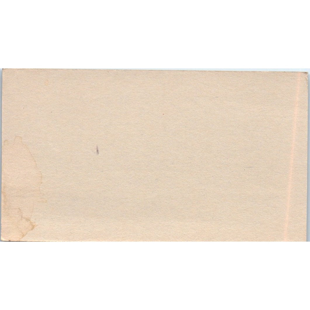 Lana Hair Designer East Bluff Coiffures Newport Beach CA Business Card SD8-B11