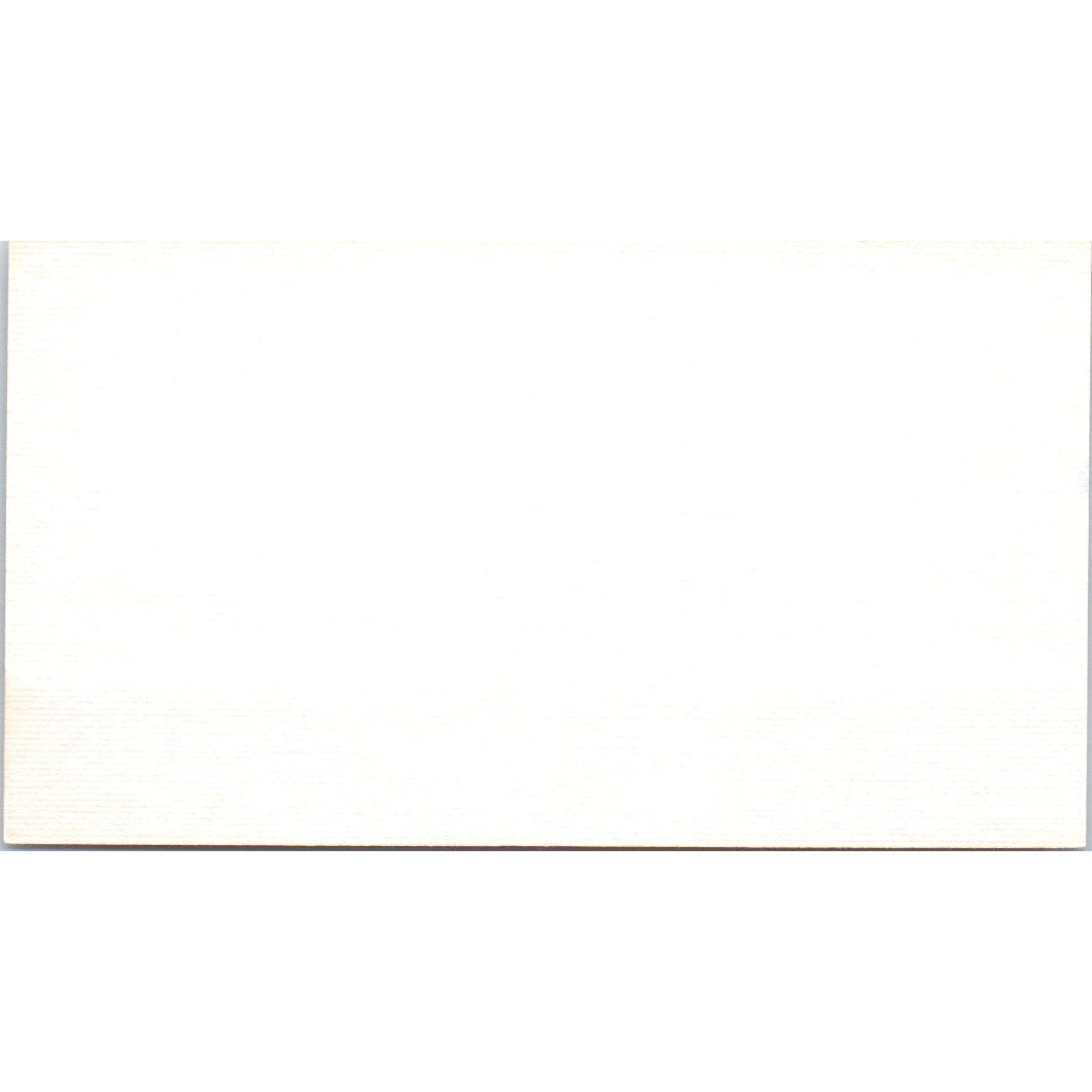 Cameo Hairstyling Grand Junction CO Vintage Business Card SD8-B19