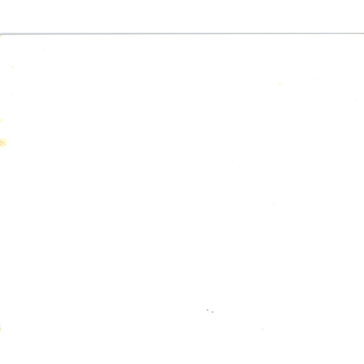 Boston Fire Engine Number 45 Vintage Photograph 810" AE9-X3