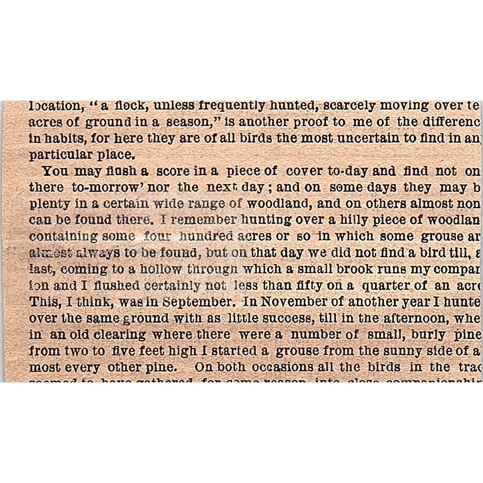 Yachting News - A Yachtsman's Opinions 1878 Article AG2-M8