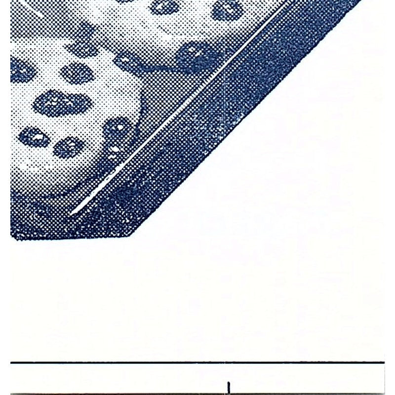 Parrot Ham - Tender, Luscious - Fort Wayne Indiana 1964 Ad AG1-S15