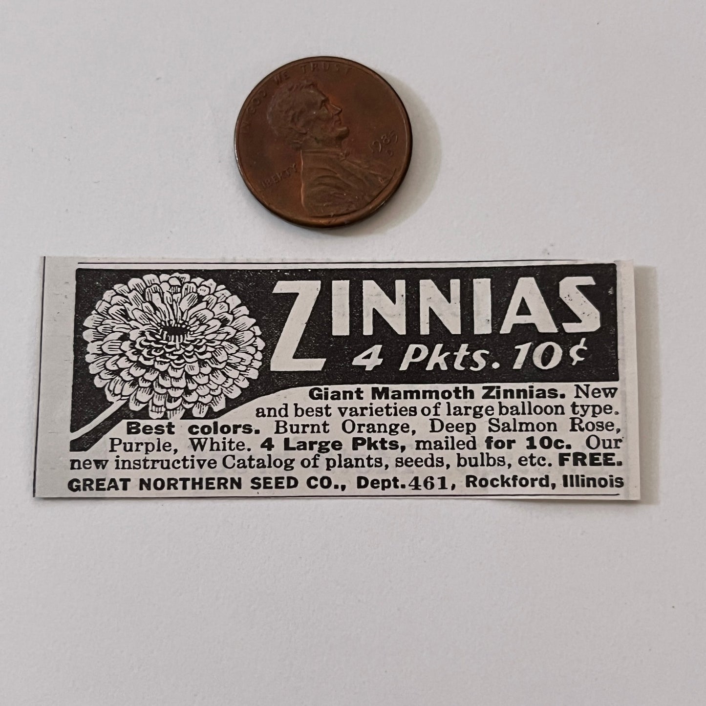Great Northern Seed Co. Giant Mammoth Zinnias Rockford IL 1936 Ad SAG4-M4