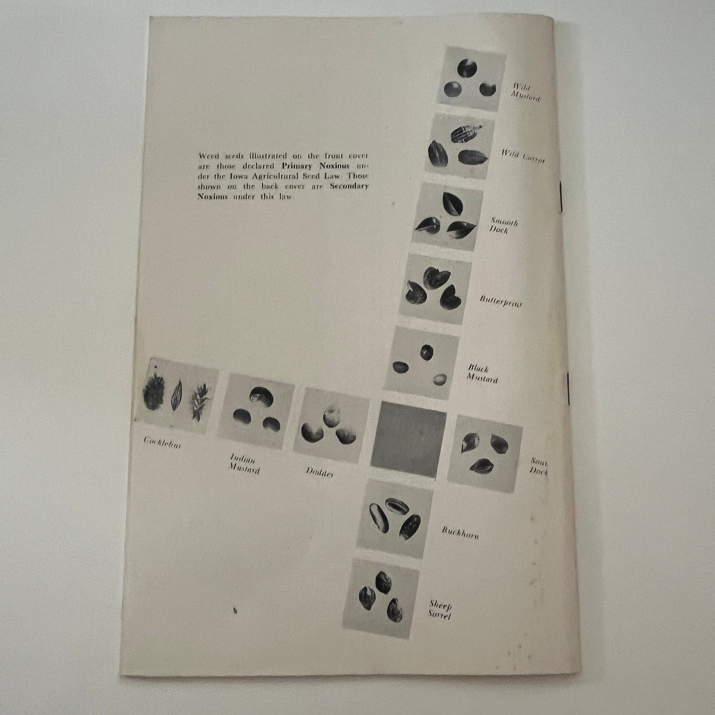 Seeds of Iowa Noxious Weeds 1949 Ames Iowa Farm Bulletin Booklet TK2-XB4