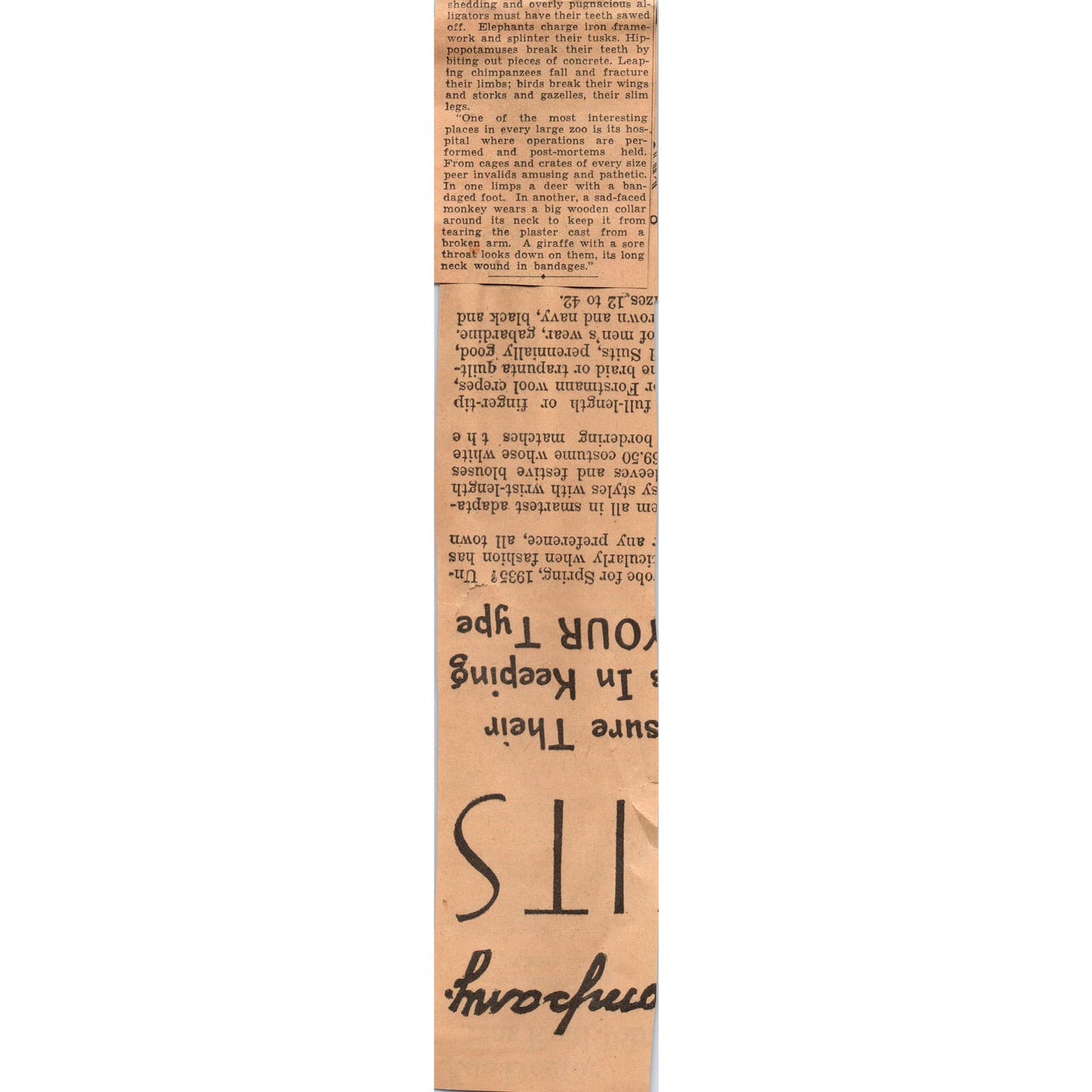 Minnesota Gophers Football Sam Hunt Andy Uram 1935 Newspaper Article AE7-N3