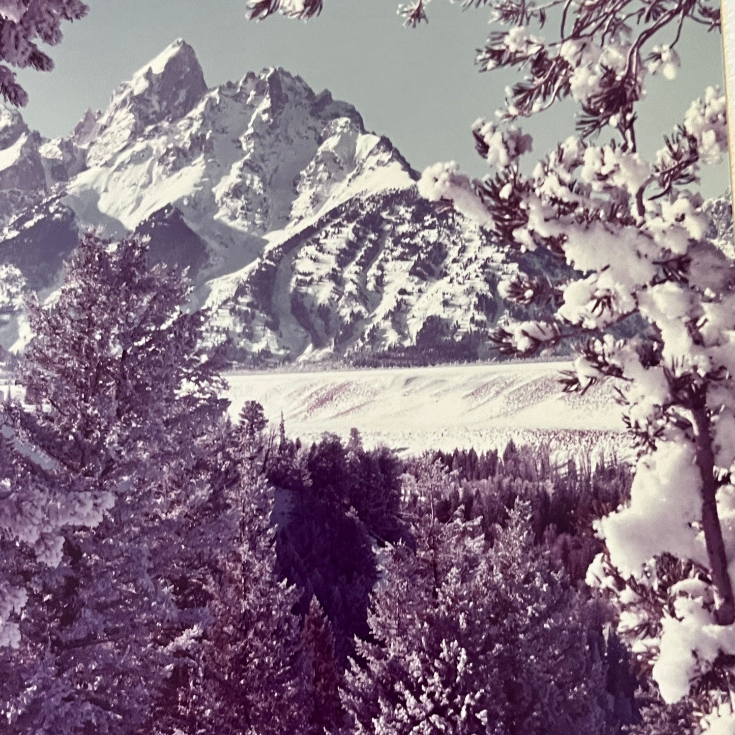 1966 Signed Abi Garaman Grand Tetons Photograph Jackson Hole WY 11x14" FL6-11