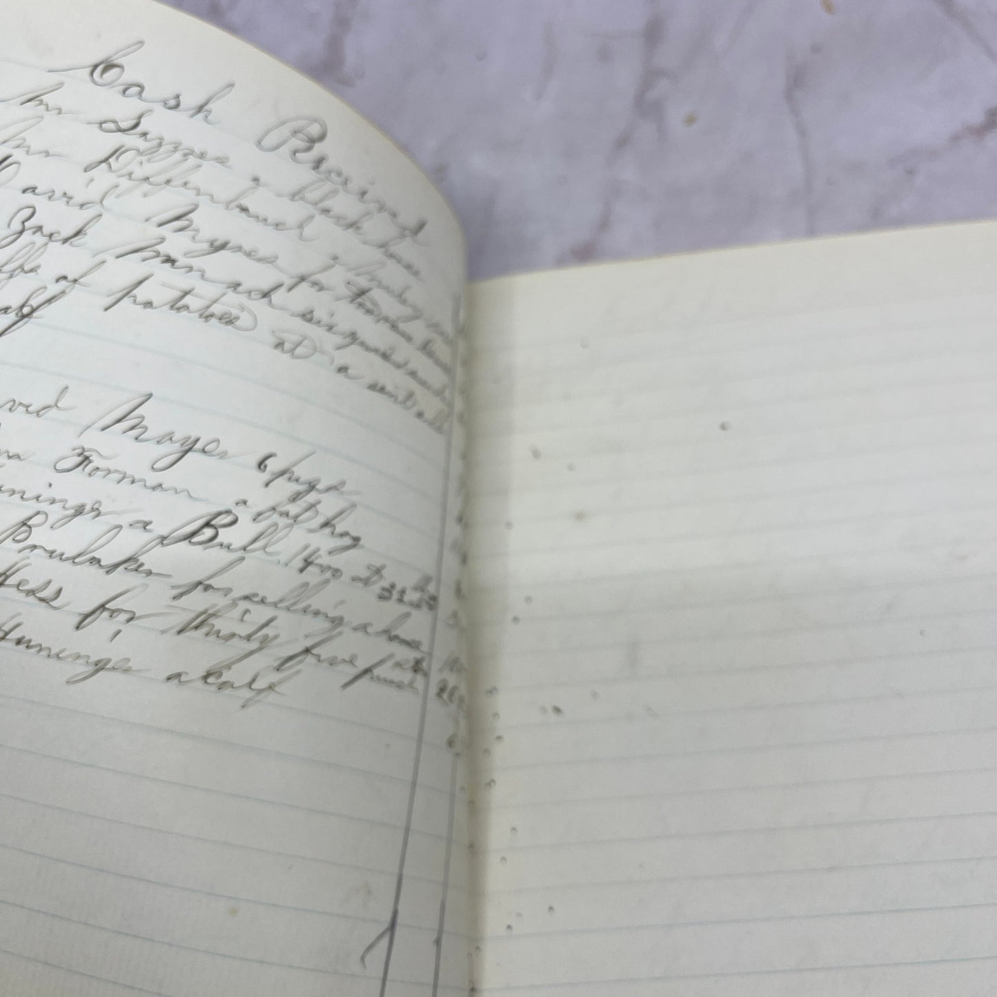 Lot of 1800s Log Books J.E. Witmer II, Ross Witmer TH9