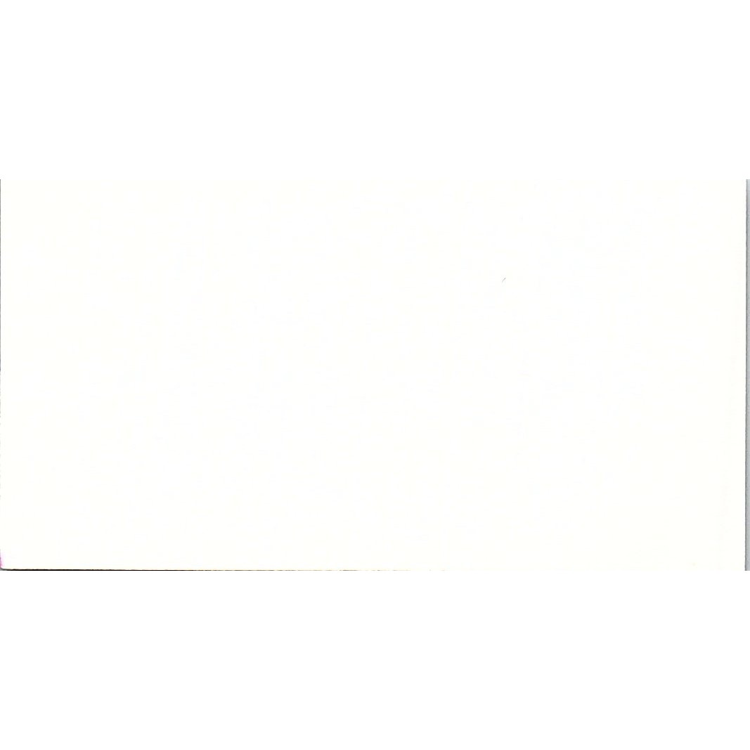 Scrapbookers Safari Brandon MB Vintage Business Card SC9-B10