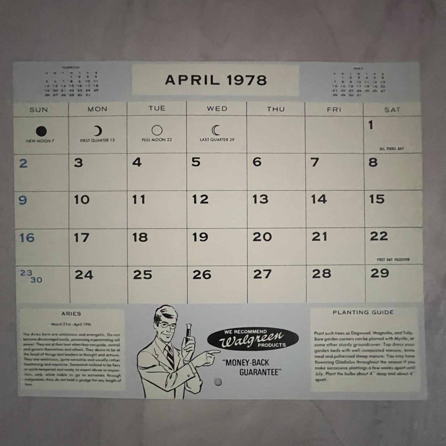 Southern Pines North Carolina Spring Blossom Scene 8x10" Art Print V17