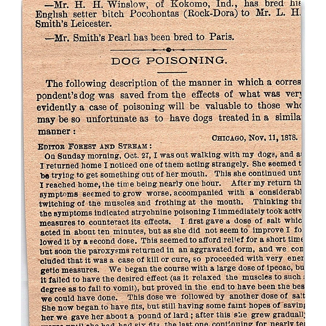 Dec 1878 National Dog Show Birmingham Curzon Hall 1878 Article AG2-H3