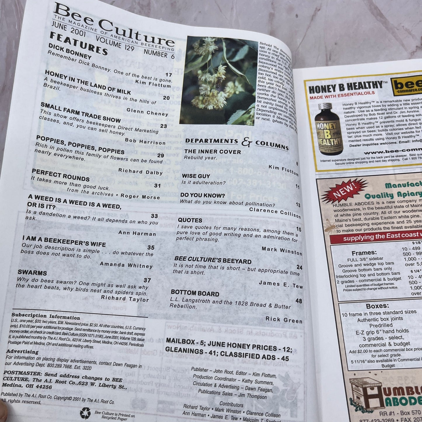 2001 June - Gleanings in Bee Culture Magazine - Bees Beekeeping Honey M32