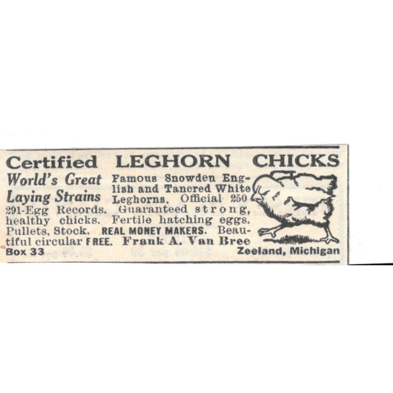 Frank A Van Bree Leghorn Chicks Zeeland MI 1924 Ad AG3-S6