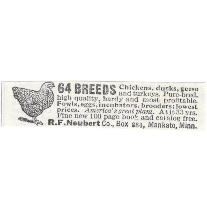 R.F. Neubert Co Chicks Mankato Minnesota 1926 Ad AG3-S23