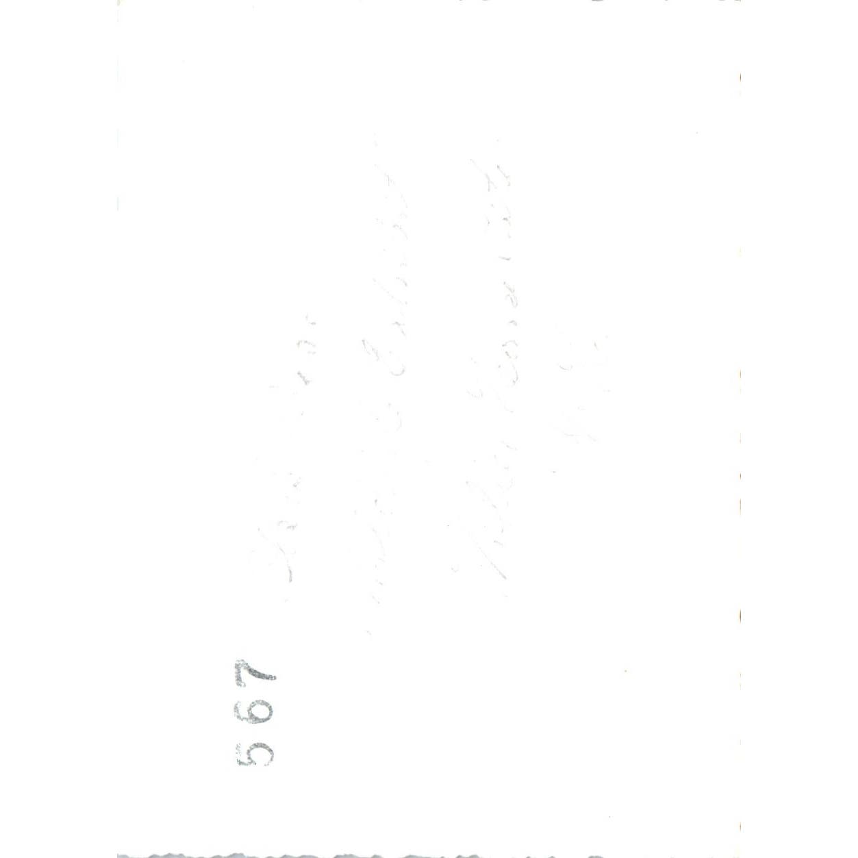 1920s Original Photo Black Bear Exhibit Willey House Crawford Notch NH 3x4" AE6