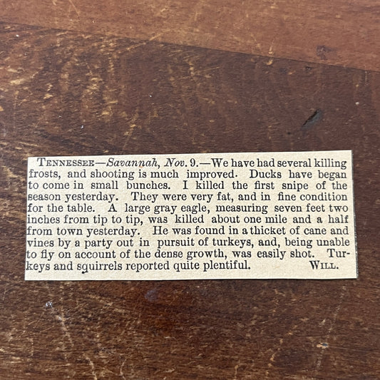 Nov 1878 Fowl Hunting Report From Savannah Tennessee 1878 Article AG2-S16