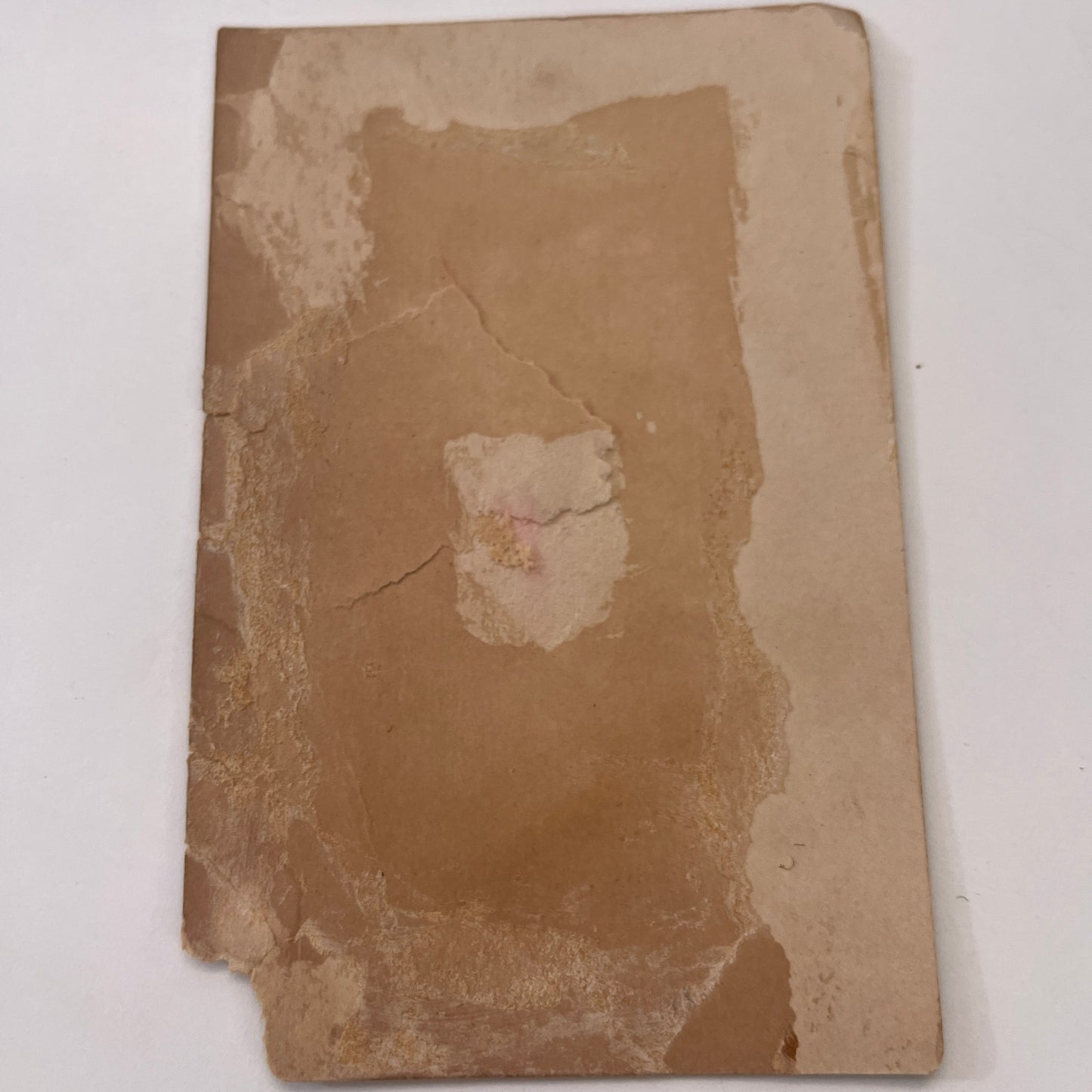 Chinese Chrysanthemum J.M. Mccullough's Sons Cincinnati 1880s Trade Card AG8-H4