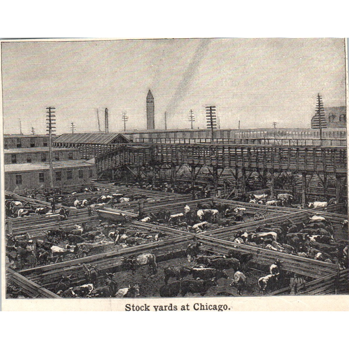 Stock Yards at Chicago 1901 Engraving AF2-O3