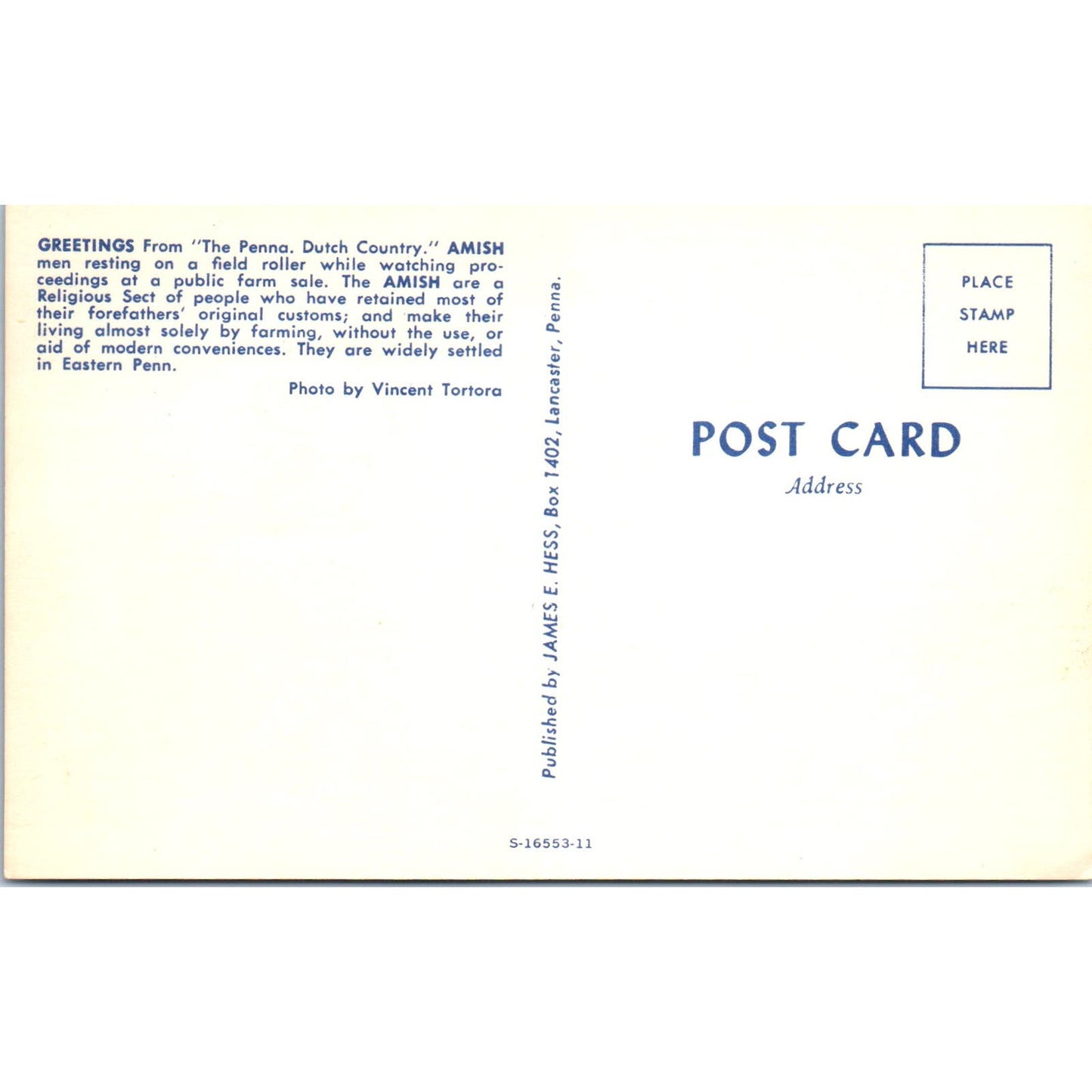 Amish Men on a Field Roller at Public Farm Sale PA Dutch Vintage Postcard PD4