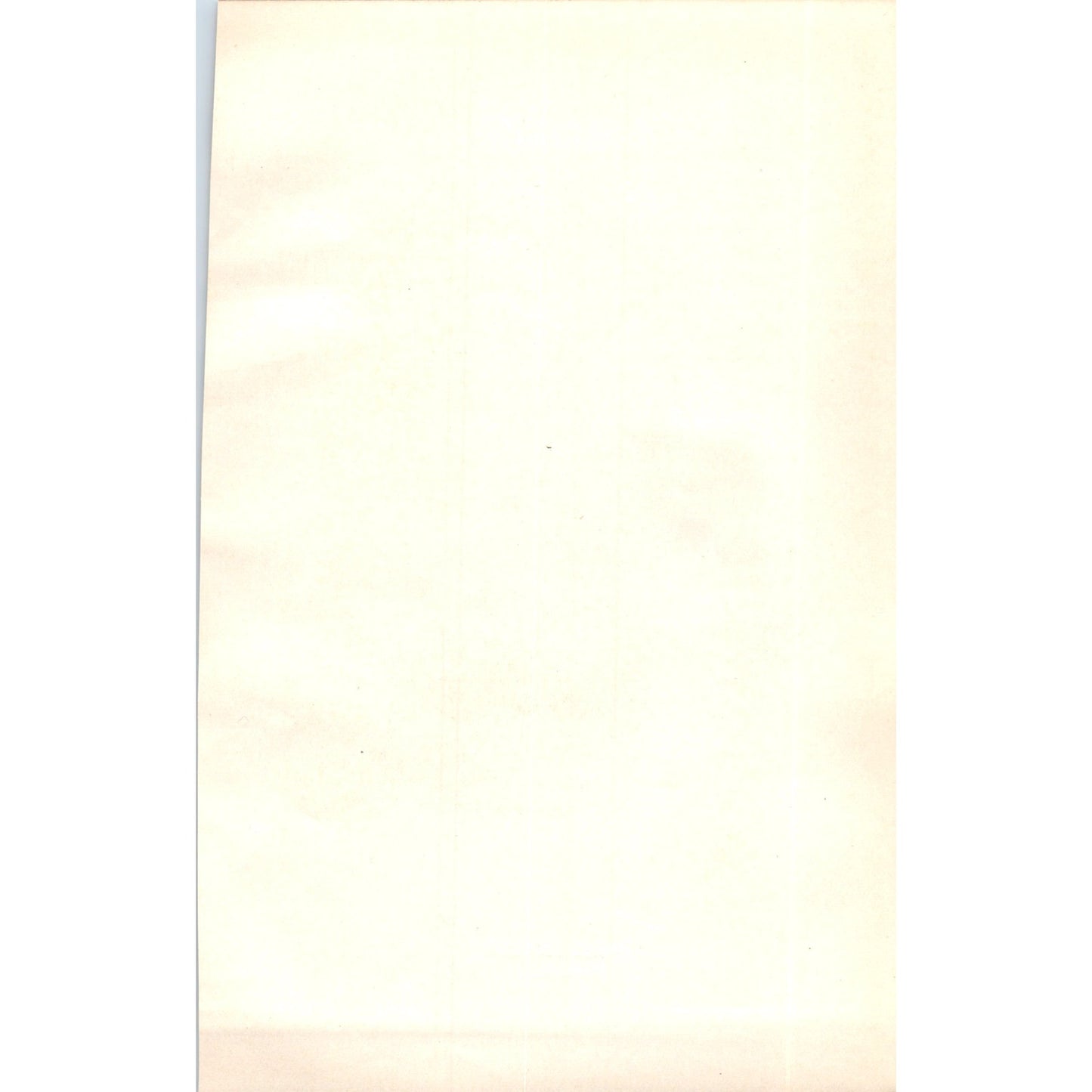 Hooded Crow Bird 1903 Original Color Engraving Plate Print AD8-B5