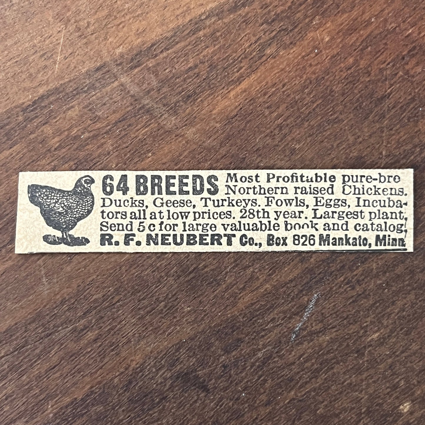 R.F. Neubert Chickens and Chicks Mankato Minnesota 1920 Ad AG2-S2