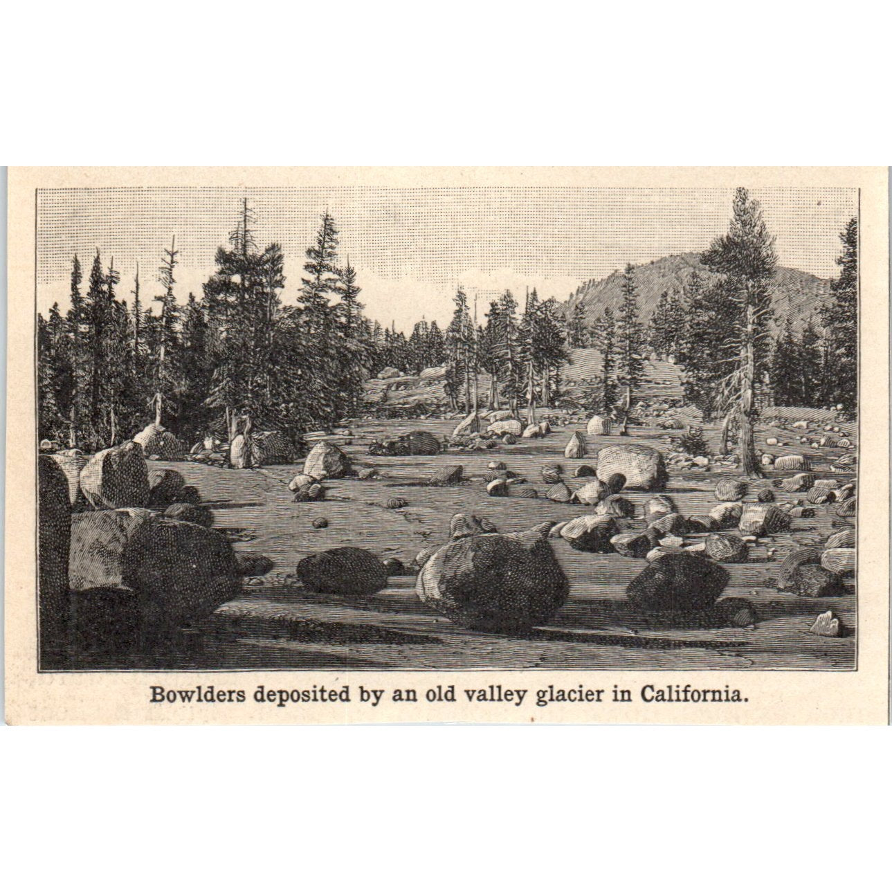 Valley Glacier Boulders in California 1901 Engraving AF2-O2