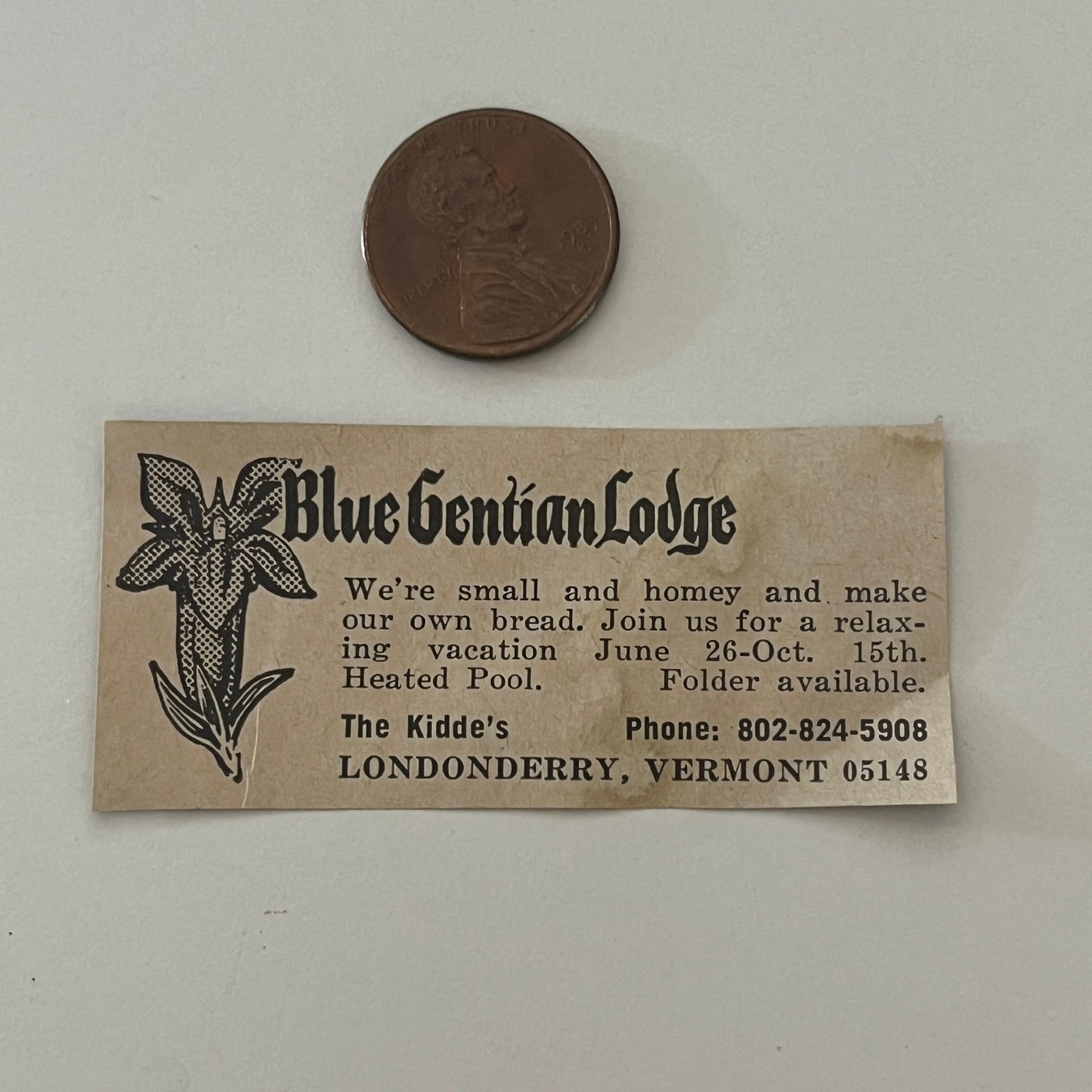 Blue Gentian Lodge Small and Homey Londonberry VT 1971 Magazine Ad SAG4-S17