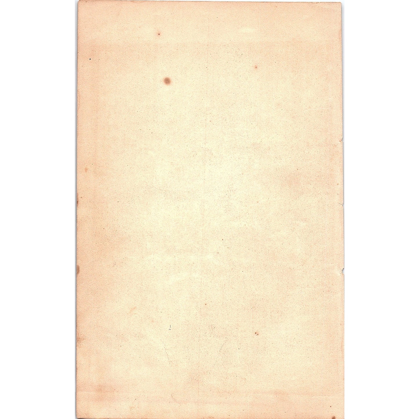 Les Modes Parisiennes Parisian Ladies Engraving Petersons Magazine 1864 Feb V1-8