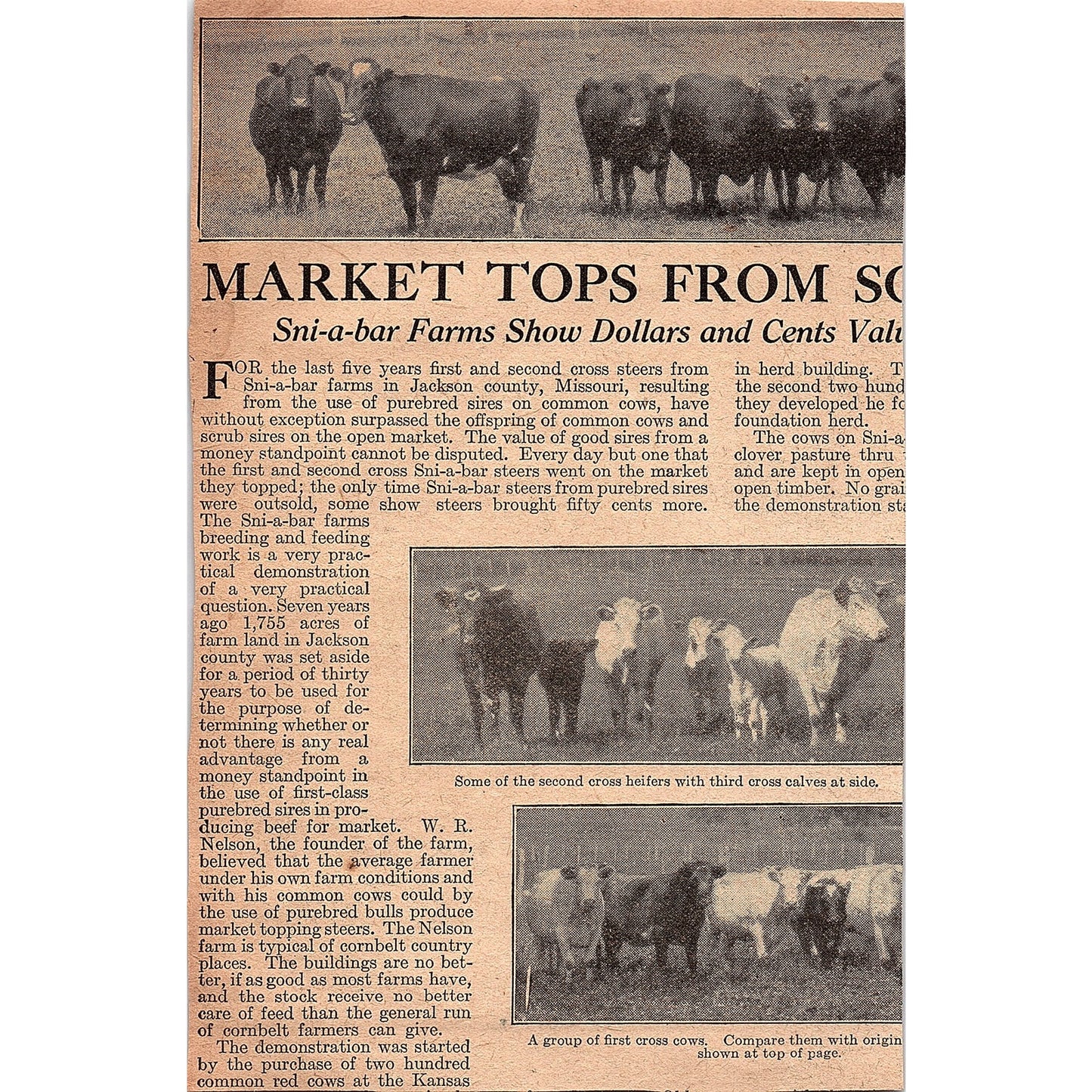 Power-Driven Sandwich Corn Shellers Sandwich Mfg Co Sandwich IL 1920 Ad AG2-6