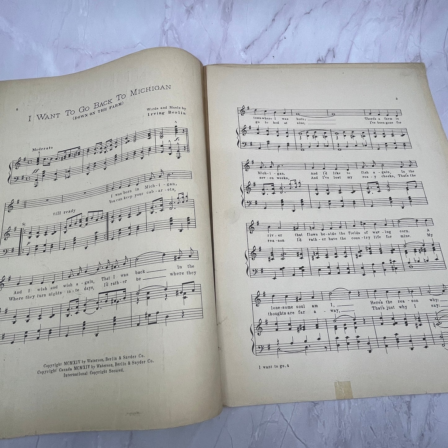 I Want to Go Back to Michigan Irving Berlin Mae Francis 1914 Sheet Music V15