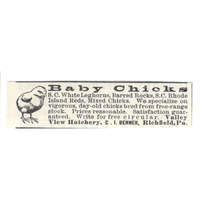 Valley View Hatchery Baby Chicks C.I. Benner Richfield PA 1924 Ad AG3-S6