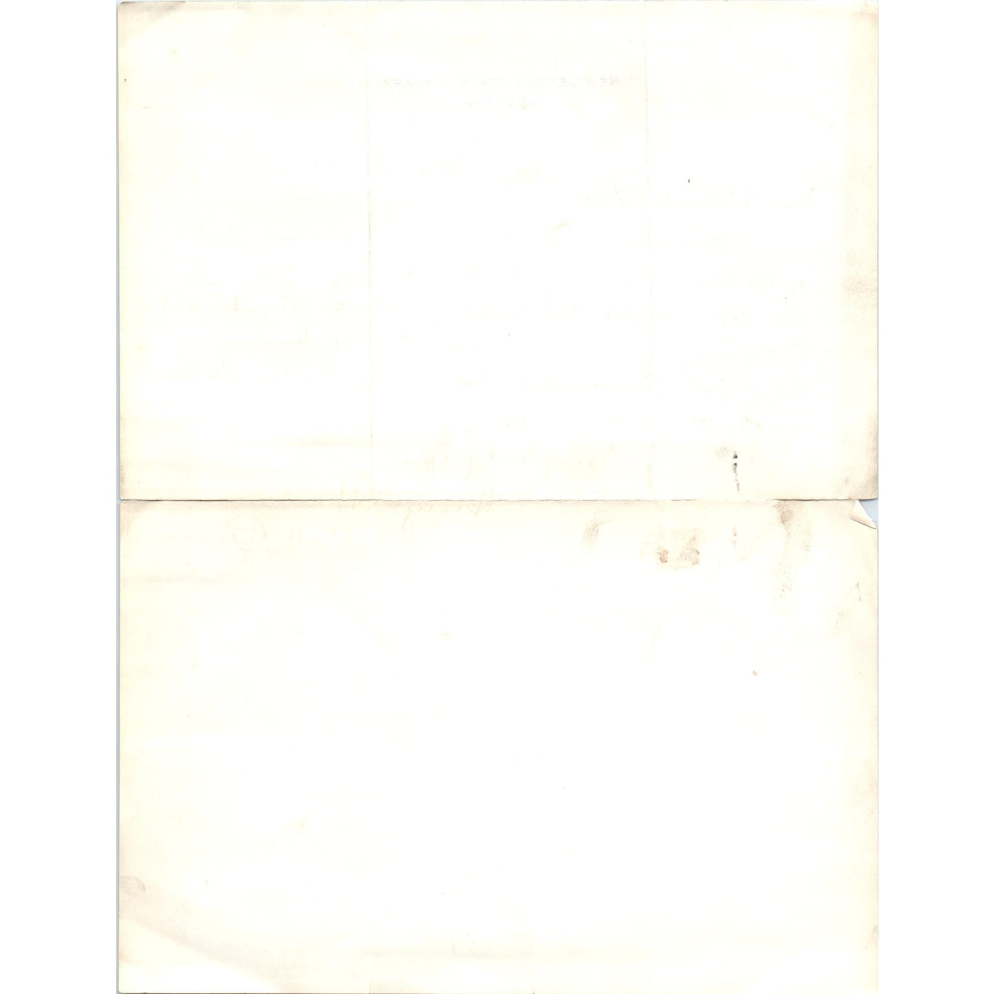 1907 New Jersey State Library Trenton Letterhead Memo Henry C. Buchanan D21