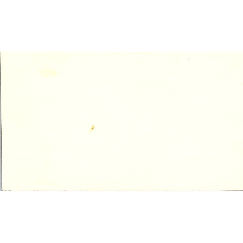 Fontenot & Peels Tree Service Houston Vintage Business Card SC9-B6