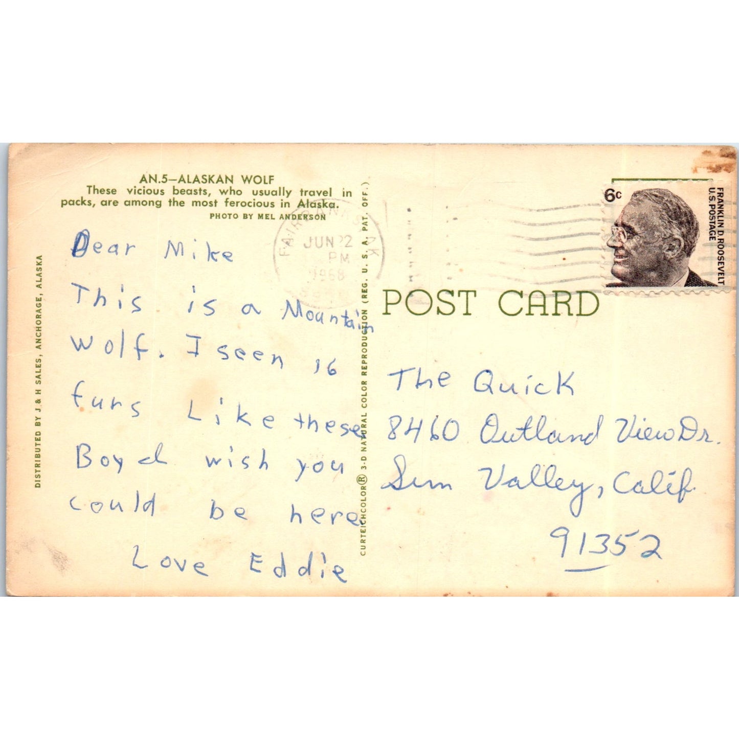 1968 Alaskan Wolf Vintage Original Postcard PD3
