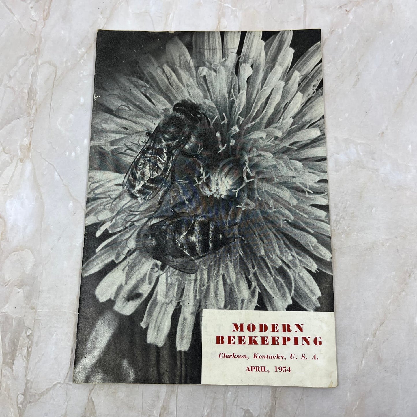 1954 Apr Modern Beekeeping Magazine Clarkson KY Walter T. Kelley TD5