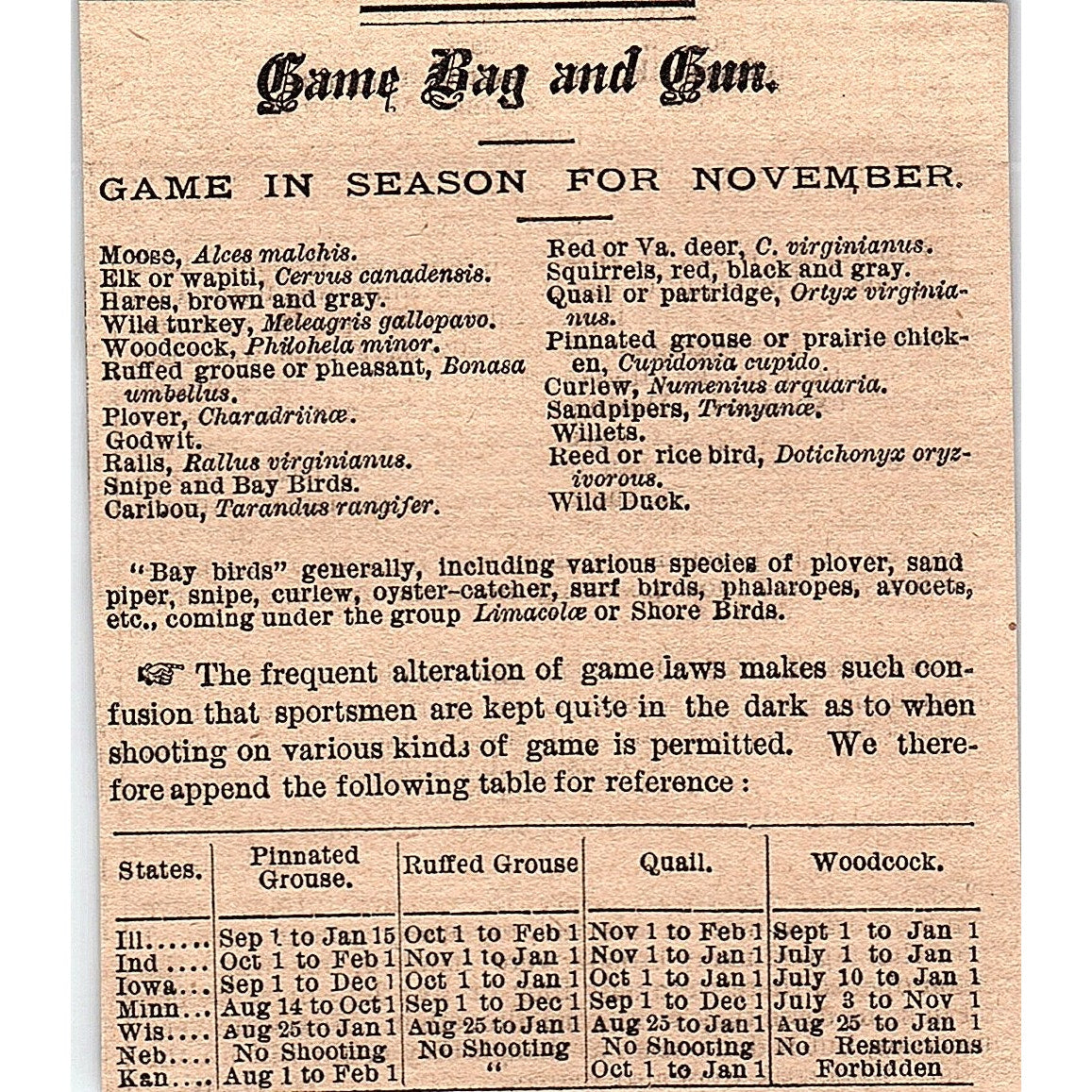 Game Bag and Gun - Game Season for 1878 Article AG2-H3