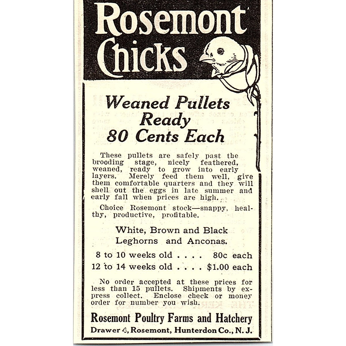 The Kerr Chickeries Inc Chicks Newark Frenchtown NJ 1924 Ad AG3-M3