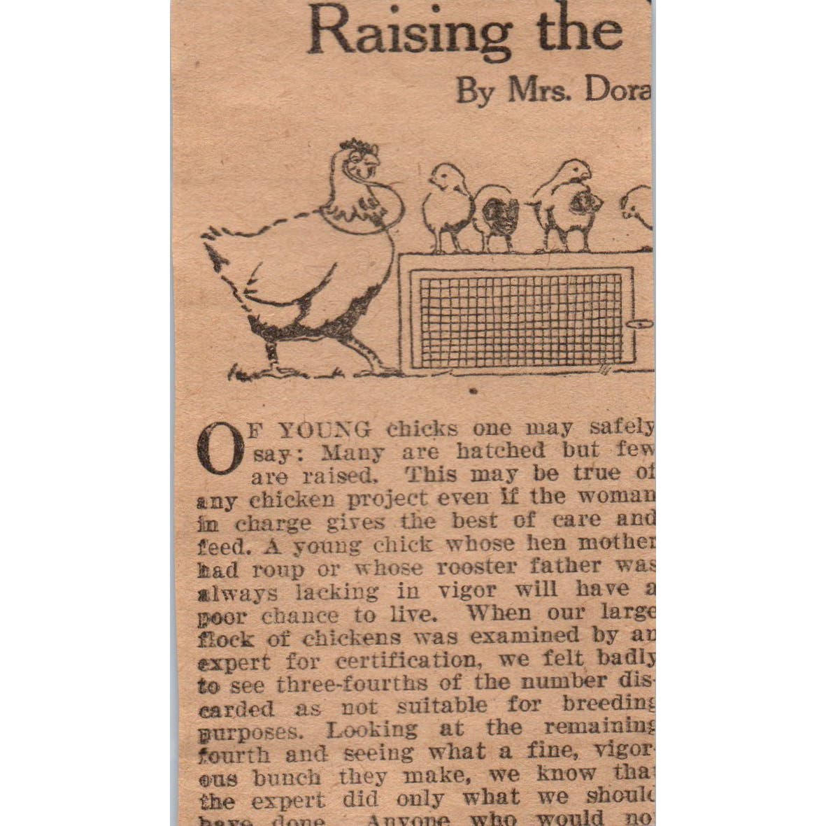 Philip Burt Co Jamestown NY Crooked Spine Straightening 1923 Magazine Ad AE1-4